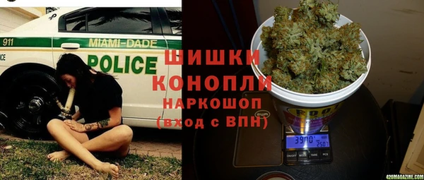 прущий лед Абаза