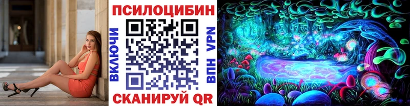 Псилоцибиновые грибы GOLDEN TEACHER  дарнет шоп  Судогда 