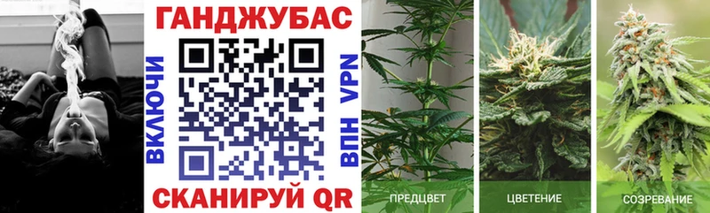 даркнет сайт  Судогда  Канабис план 